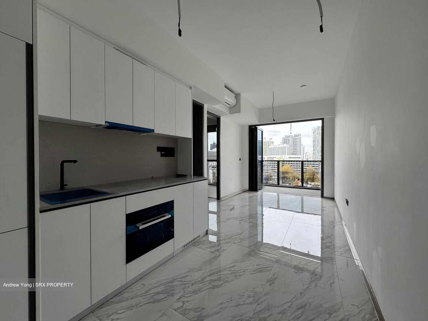 The Landmark (D3), Condominium #566248841